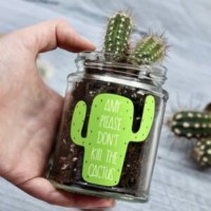 Personalised 'Don't Kill Me' Cactus Jar Grow Kit