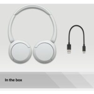 Sony WHCH520W